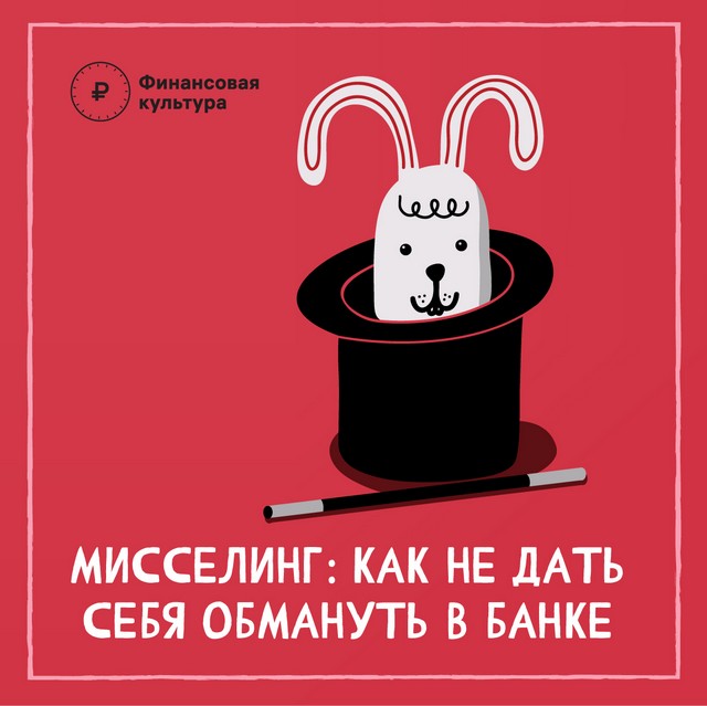 foto 2023 08 29 08 53 001