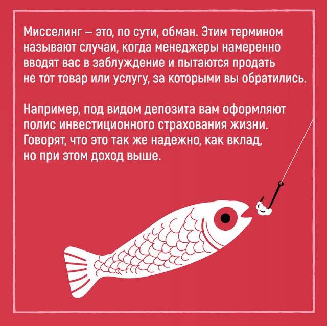 foto 2023 08 29 08 53 002
