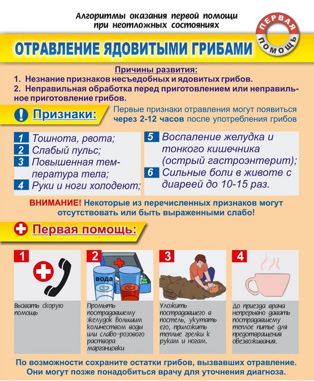 foto 2023 11 23 11 36 001