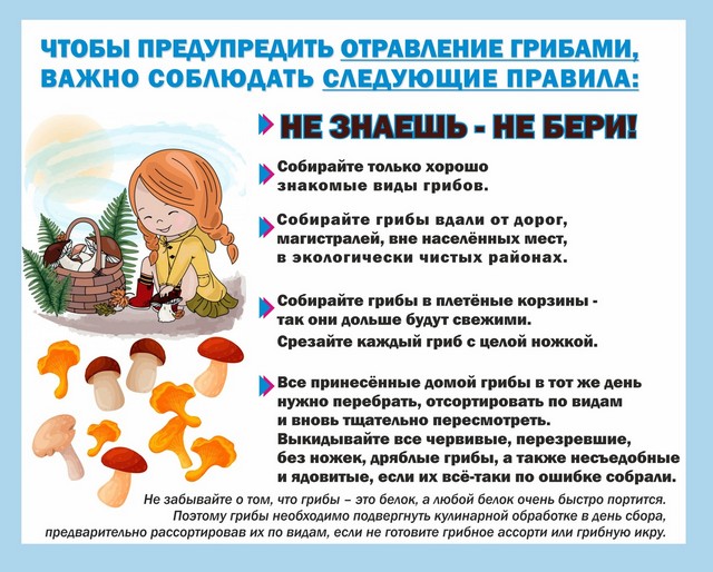 foto 2023 11 23 11 36 002