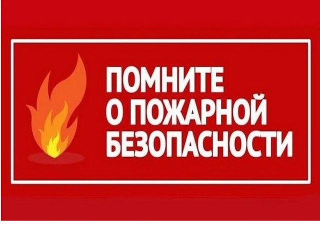 foto 2023 11 23 11 38 001