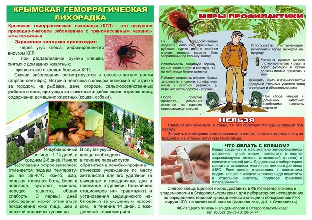foto 2025 05 30 13 35 001